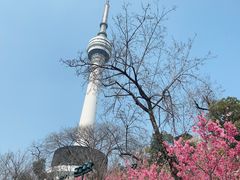 -龟山风景区-龟山电视塔