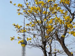 -文华公园(禅城区)