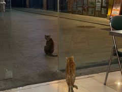 -螺思宝螺蛳粉火锅·鸭脚煲(西乡店)