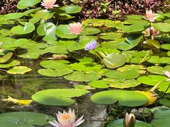 -梁园