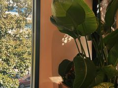 -Peet's Coffee皮爷咖啡(大学路店)