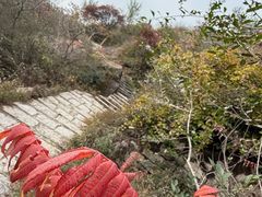 -北京凤凰岭