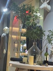 -ChenV西服礼服高级定制(市区养育巷店)