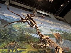 -自贡恐龙博物馆