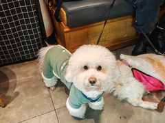 -安琳acKONA咖啡(市南店)