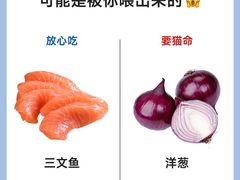 -猫十亿·布偶金渐层·曼基康矮脚猫舍(青年路店)