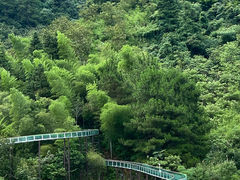 -龙井峡漂流