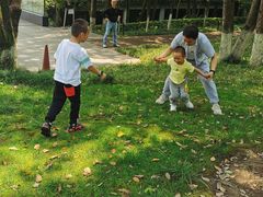 -重庆市江北嘴中央商务区中央公园