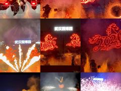-武汉园博园(武汉自然博物馆)
