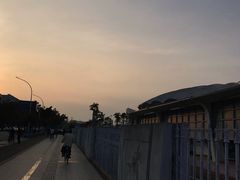 -珠海市体育中心-游泳馆