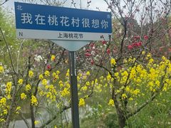 -南汇桃花村
