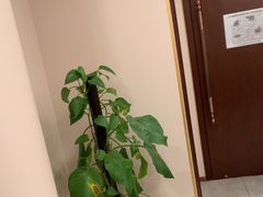 -鲁宴·鲁煨黄河生态大鲤鱼(月坛店)