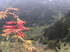 -叠溪松坪沟景区