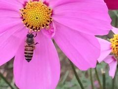 -松山湖南湖湾露营营地