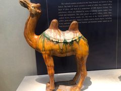 -镇江博物馆