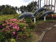 iphone_upload_pic-柱状节理带