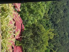 -楠柏弯休闲山庄(梨花溪店)