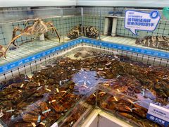 -大锅强·蒸海鲜青岛菜(金沙滩店)