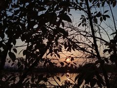 -艾溪湖湿地公园