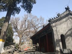 -北京艺术博物馆(万寿寺)