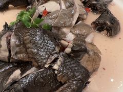 药膳鸡-沙龙酒家