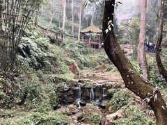 -青城山
