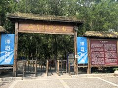 -西青郊野公园