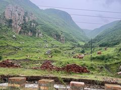 -苏木山森林公园