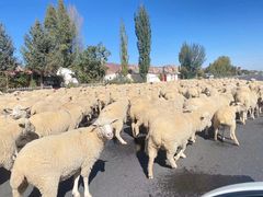 -夏家合汁(天润花园小区店)