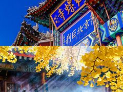 -沉浸北京·团建旅行·密室剧本杀·年会会议轰趴拓展