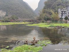 -靖西鹅泉风景区