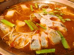 -新凯里酸汤鱼(飞山街店)