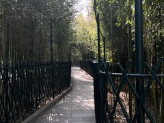 -红螺寺