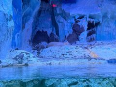 -海合安青岛极地海洋公园