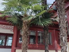 -洛阳古墓博物馆