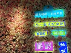 -南昌西站