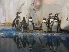 -太平洋海底世界