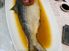 清蒸鲥鱼-走马楼饭庄(慈城古县城店)