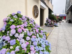 -若蘭慈·无国界素食料理(欢乐海岸店)