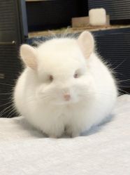 -Oasis Beauty水磨坊科技美肤中心