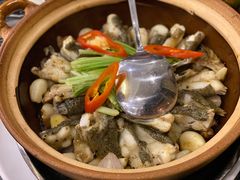 -美极鲜食坊(宝安南路店)