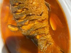 红烧黄河鲤鱼-阿五黄河大鲤鱼(英协路店)