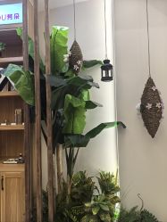 -芳朵美容养生SPA