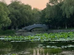 -北陵公园