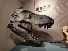 -自贡恐龙博物馆