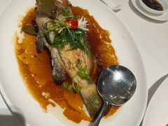 -金苑海鲜酒家(来魅力店)