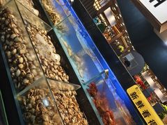 -苏格里岛自助海鲜烤肉(中州万达店)