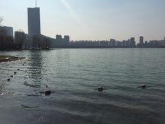 -天鹅湖体育公园