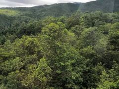 -苍山世界地质公园·石门关大峡谷