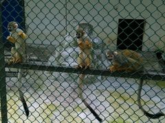 -广东茂名森林公园